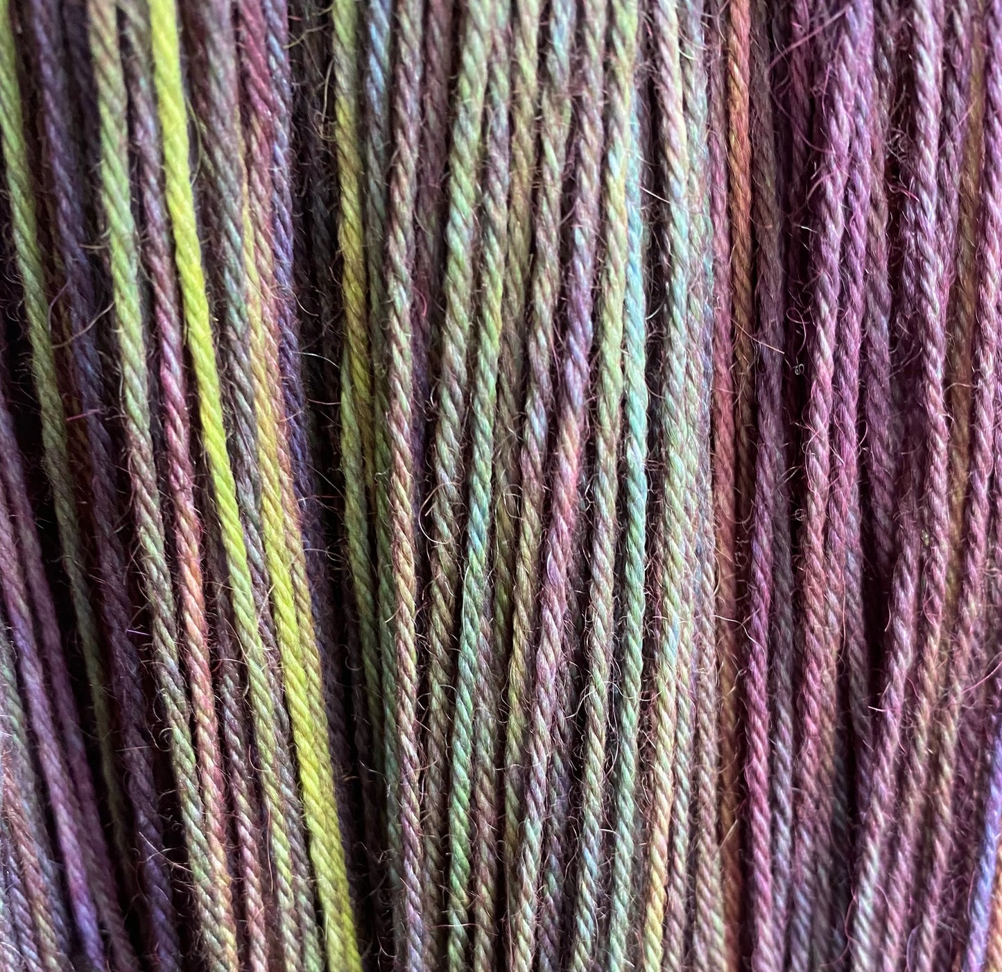 Mojo Alligator
